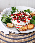 Brie and cranberry cheesecake with toast and cranberry coulis