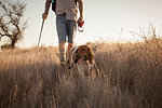 Cropped shot of mature man and his basset hound hiking in Santa Monica Mountains, California, USA