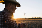 Senior male farmer looking at stem from soybean crop, Plattsburg, Missouri, USA