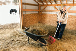 Senior adult woman in stable, filling wheelbarrow with hay