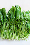 Bunch of fresh green spinach leaves