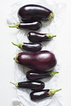 Still life of a row of eight aubergines and baby aubergines