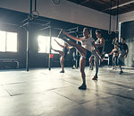 Male and female crossfitters exercising together in gym