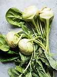 Overhead view of kohlrabi with leaves