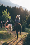 Young adult friends horse riding by forest, rear view, Primaluna, Trentino-Alto Adige, Italy