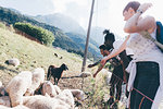 Young adult hiker friends looking at sheep in rural field, Primaluna, Trentino-Alto Adige, Italy