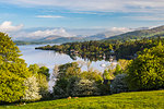 Sailing boats at Windermere at sunrise, Lake District  National Park, UNESCO World Heritage Site, Cumbria, England, United Kingdom, Europe