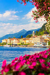 Flowers on the lake side of Bellagio, Province of Como, Lake Como, Italian Lakes, Lombardy, Italy, Europe