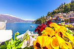 Colourful flowers by the lake, Varenna, Province of Lecco, Lake Como, Italian Lakes, Lombardy, Italy, Europe