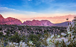 View of rock formations and flora in Red Rock Canyon National Recreation Area, Las Vegas, Nevada, United States of America, North America