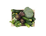 Fresh tasty green vegetables in wooden crates on white background