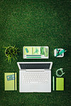 Laptop, green office supplies, notebook and credit card on lush grass; ecology, environment and business concept