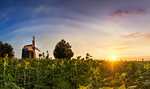 Panoramic view of an old wooden mill in a field at colorful sunset time. Nature, Landscape. Ukraine. Big size