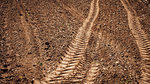Tractor tracks on the fertile soil in the farm fields during a sunny summer day