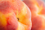 Fresh tasty nectarine peach close up, healthy eating concept
