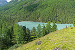 Small mountain lake - Kucherla river reach. Altai Mountains, Russia. Sunny summer day.