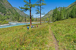 Group of tourists walking along the bank of the river Kucherla. Altai Mountains, Russia. Sunny summer day.
