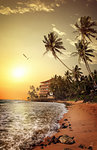 Sandy coast of Indian ocean in Sri Lanka at sunny sunset