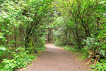 Hiking trail at Fort Clatsop along Lewis and Clark River in Oregon