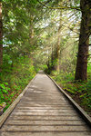 Boardwalk along hiking trail by Lewis and Clark River at Fort Clatsop