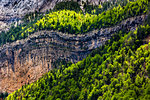 Rock cliffs and forest of the Pyrenees in the Ordesa y Monte Perdido National Park in the Huesca Province in Aragon, Spain