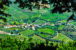Overview of a community in the Douro River Valley with terraced vineyards, Norte, Portugal