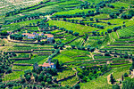 Overview of farms with terraced vineyards in the Douro River Valley, Norte, Portugal