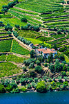 Overlooking a farm and the terraced vineyards along the Douro River Valley, Norte, Portugal