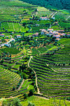 Overview of farms with the terraced vineyards in the Douro River Valley, Norte, Portugal