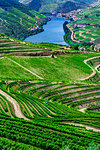 Overview of the valley with the terraced vineyards in the Douro River Valley, Norte, Portugal