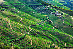 Overview of the hills with the terraced vineyards in the Douro River Valley, Norte, Portugal