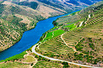 View of the Douro River and Valley from the Museu do Coa, Vila Nova de Foz Coa, Norte, Portugal