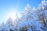 Nagano Prefecture, Japan