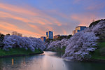 Tokyo, Japan