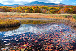 Aomori Prefecture, Japan