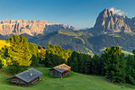 Last rays of sun on traditional huts with view on Sassolungo and Sella Group, Gardena Valley, South Tyrol, Dolomites, Italy, Europe