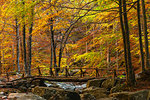 Autumn at the Dardagna waterfalls, Tosco Emiliano Apennines, Apuan Alps, Lizzano in Belvedere, Emilia Romagna, Italy, Europe