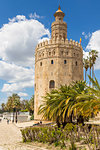 Golden Tower (Torre del Oro), Seville, Andalusia, Spain, Europe