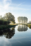 River Mark in early morning sunlight, Netherlands