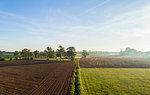 Field landscape in autumn sunlight, elevated view, Netherlands