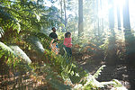 Female and male runners running together through sunlit forest ferns