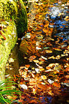 Kikuchi Gorge in Autumn, Kumamoto Prefecture, Japan