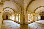 The Cloisters of the Saint Paul de Mausole Monastery, Saint-Remy-de-Provence, Provence-Alpes-Cote d'Azur, Provence, France.