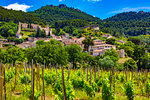 Gigondas, Provence-Alpes-Cote d'Azur, Provence, France.