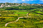 View of the countryside near Les Baux-de-Provence, Provence-Alpes-Cote d'Azur, Provence, France.