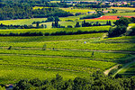 Roussillon, Luberon Valley, Provence-Alpes-Cote d'Azur, Provence, France.