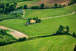 Farmhouse and vneyard in Tuscany, Italy.