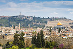 View over Muslim Quarter towards Dome of the Rock and the Mount of Olives, Jerusalem, Israel, Middle East