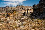 Isalo National Park, Ihorombe Region, Southwest Madagascar, Africa