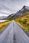 Coastal road in between sea and mountains, Fredvang, Nordland county, Lofoten Islands, Norway, Europe